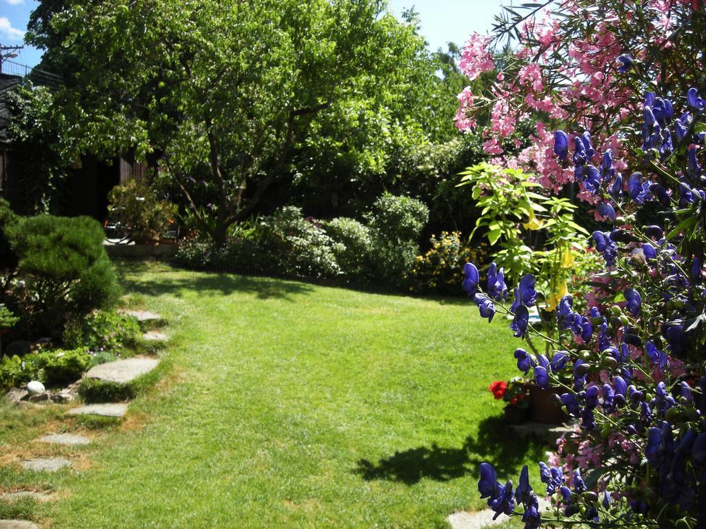 Penzion Nevcehle Urbanov Εξωτερικό φωτογραφία